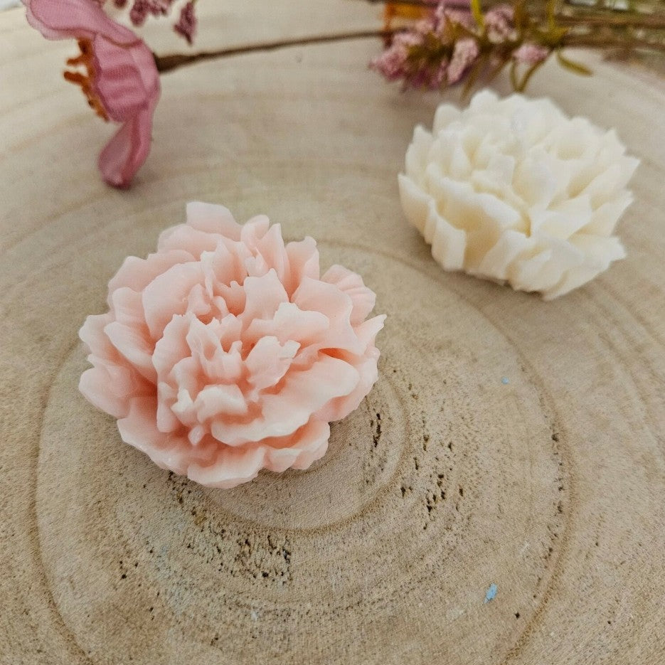 Mini Peonia