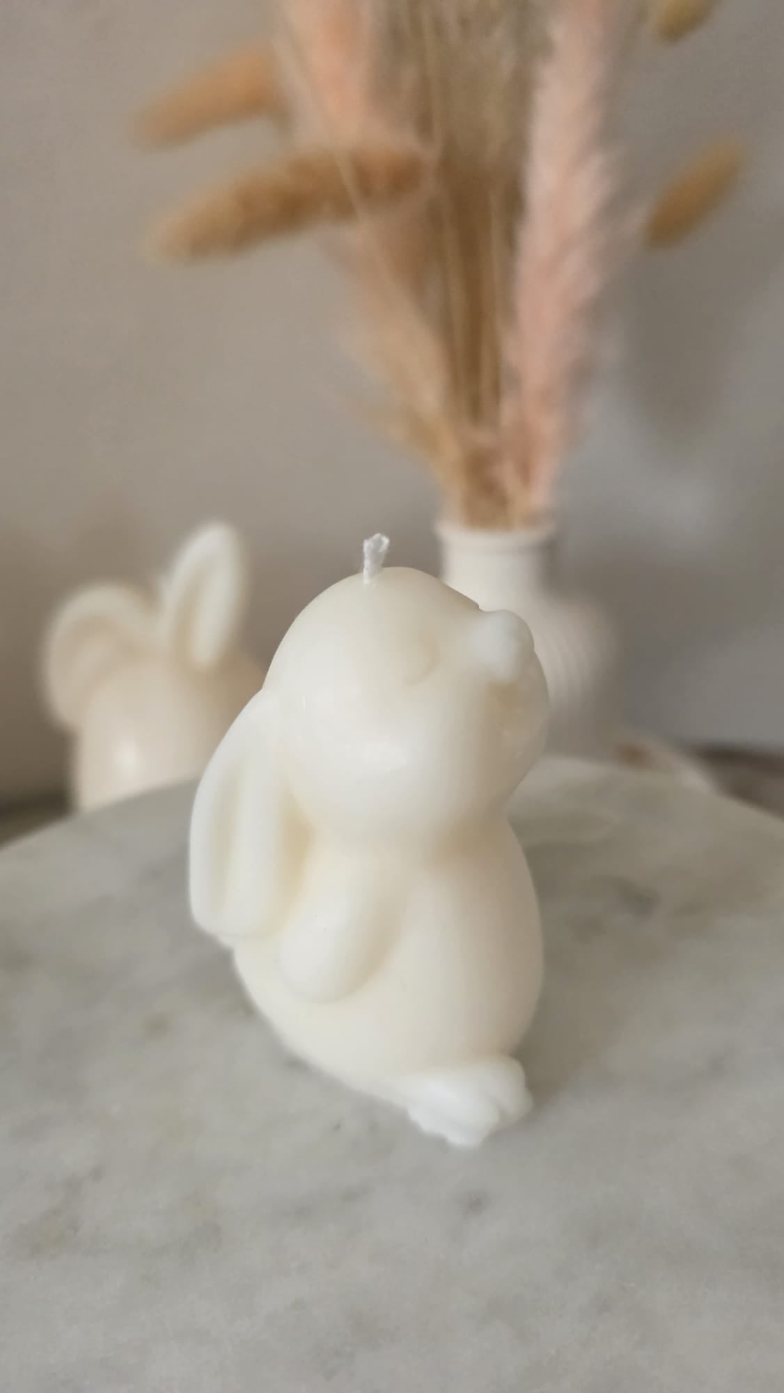 Mini Bunny