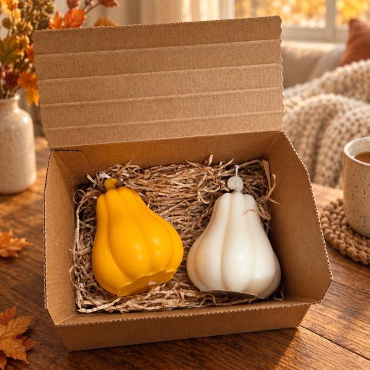 Box Cozy Pumpkin
