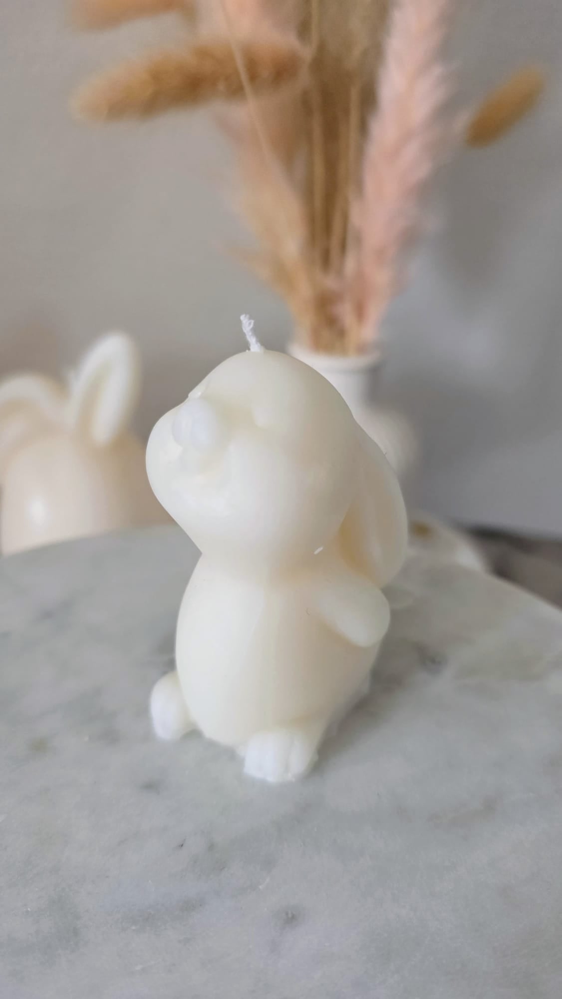 Mini Bunny