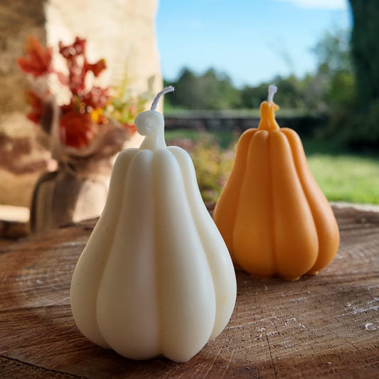 Cozy Pumpkin