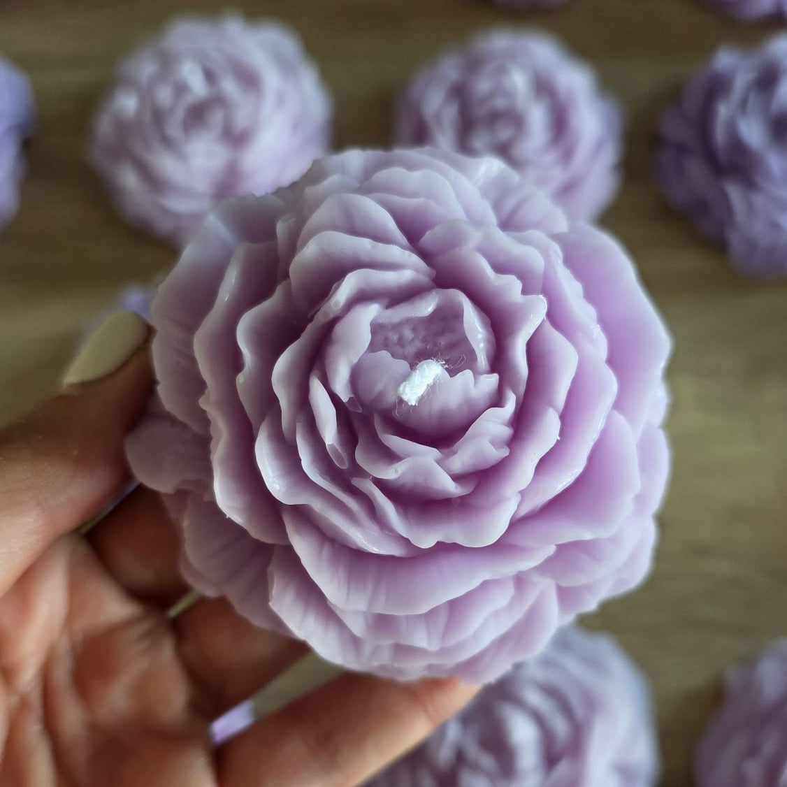Flora
