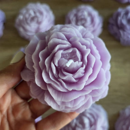 Flora