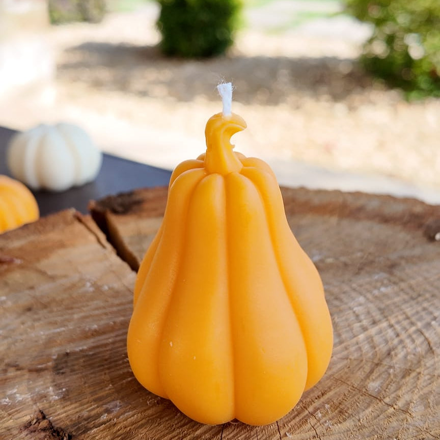 Cozy Pumpkin