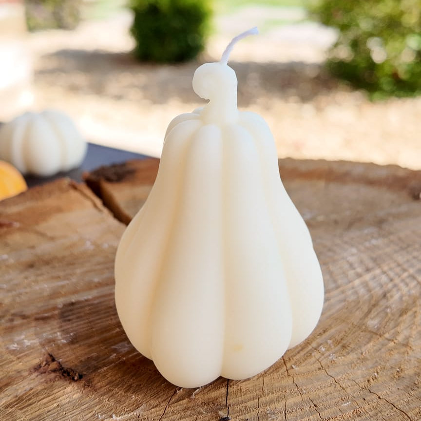 Cozy Pumpkin