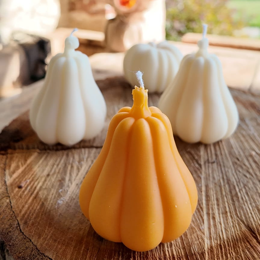 Cozy Pumpkin