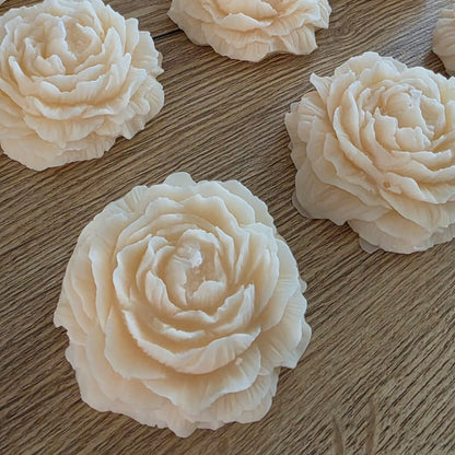 Flora